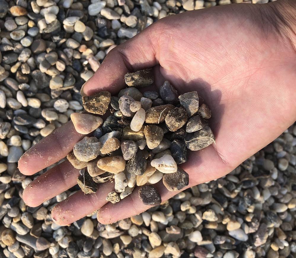 小鹅卵石（豆石）2